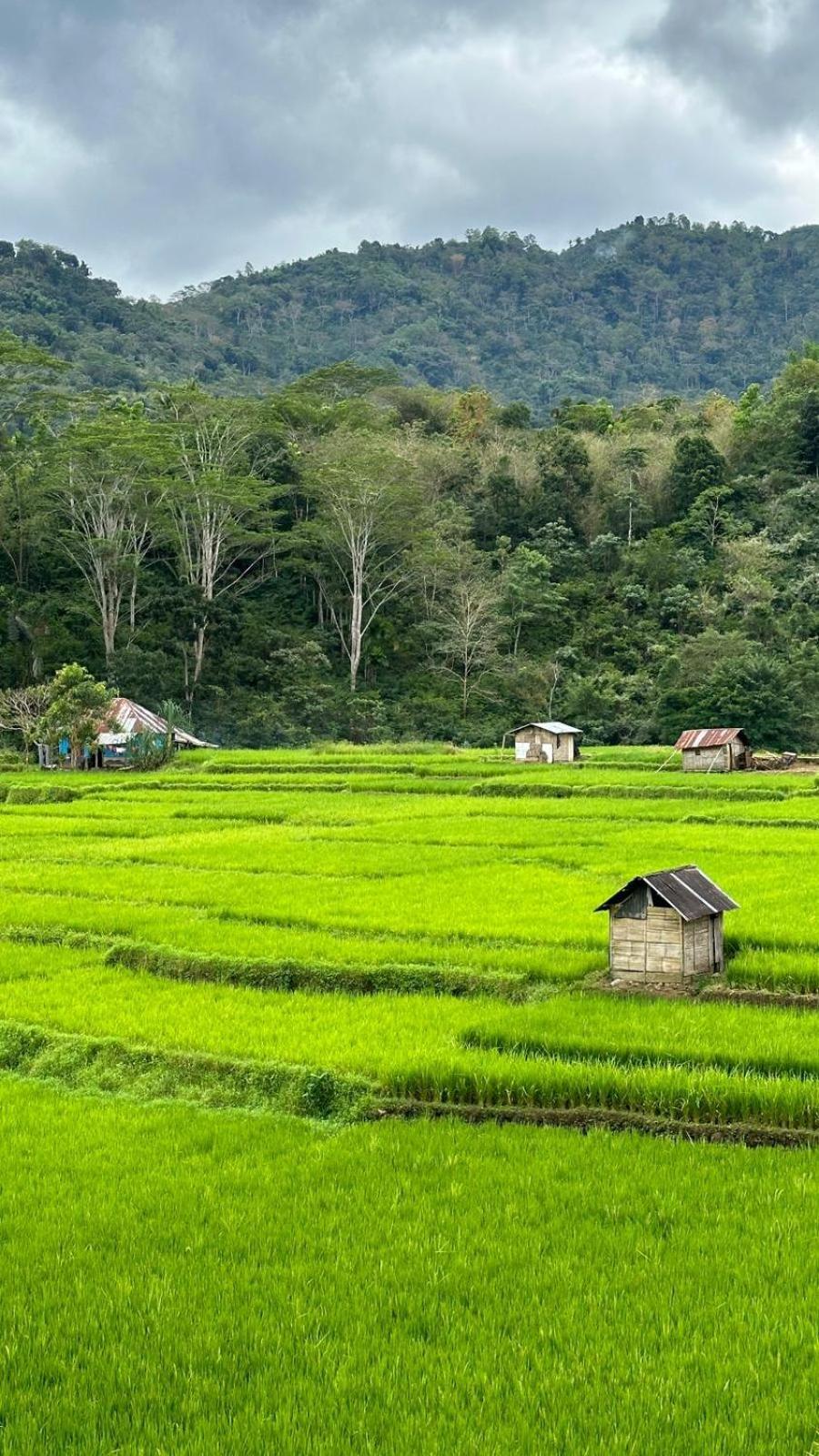 Petra Homestay Bangka Leda Ruteng Zewnętrze zdjęcie
